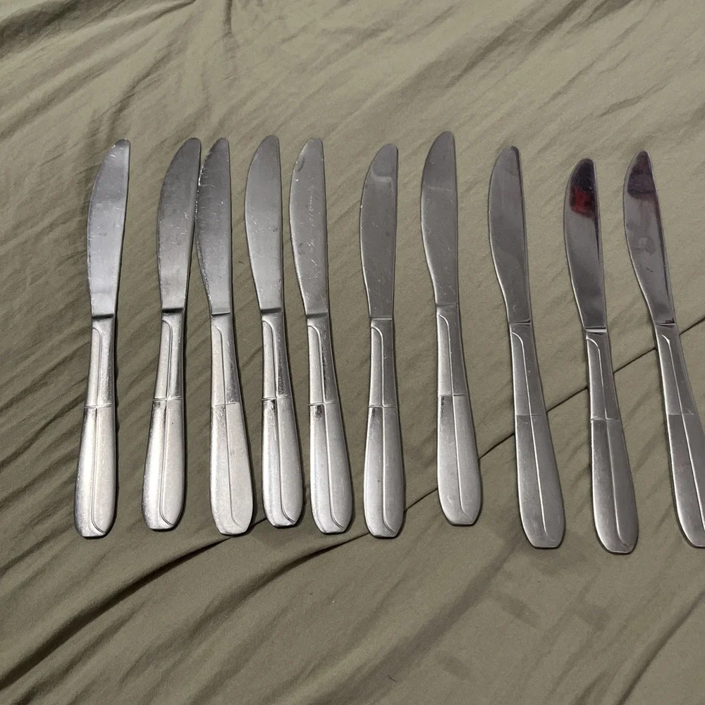 Cambridge Stainless Flatware CBS176  10 Dinner Knives